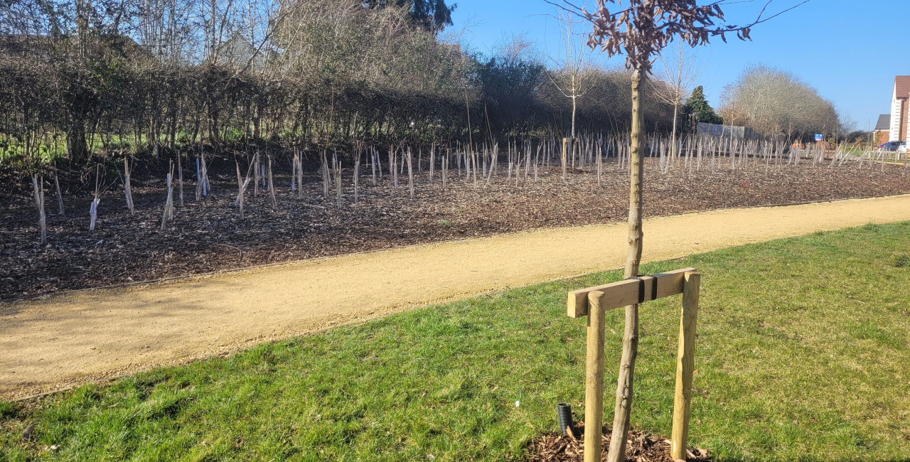 Landscape Maintenance